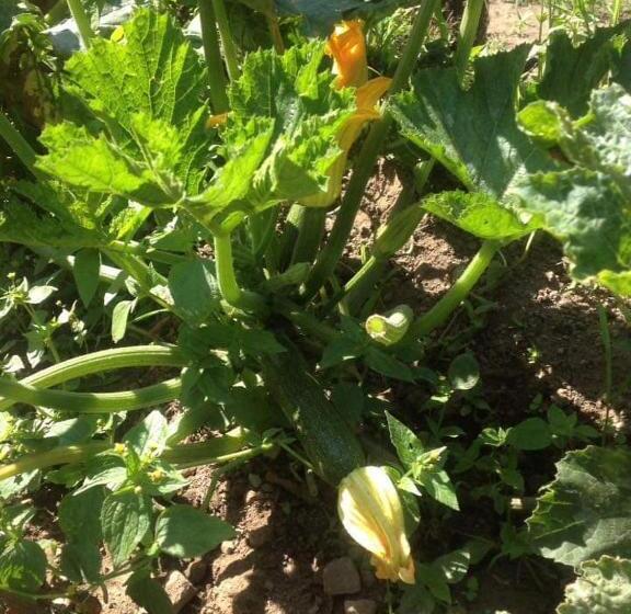 Valle Maira, Agriturismo Nel Parco Dei Nebrodi