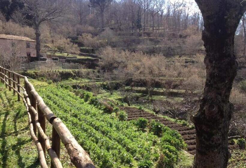 Valle Maira, Agriturismo Nel Parco Dei Nebrodi