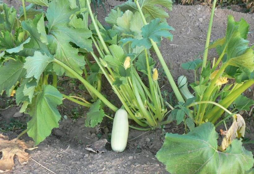 Valle Maira, Agriturismo Nel Parco Dei Nebrodi