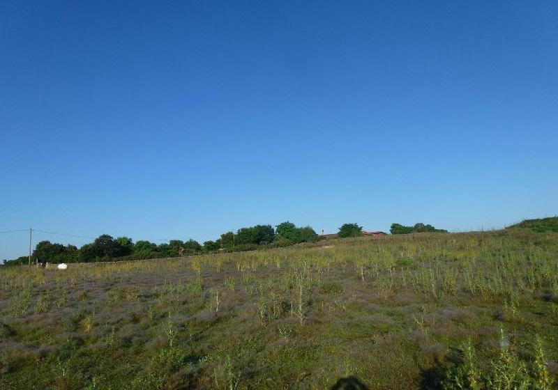 Agriturismo Nuragh Elighe