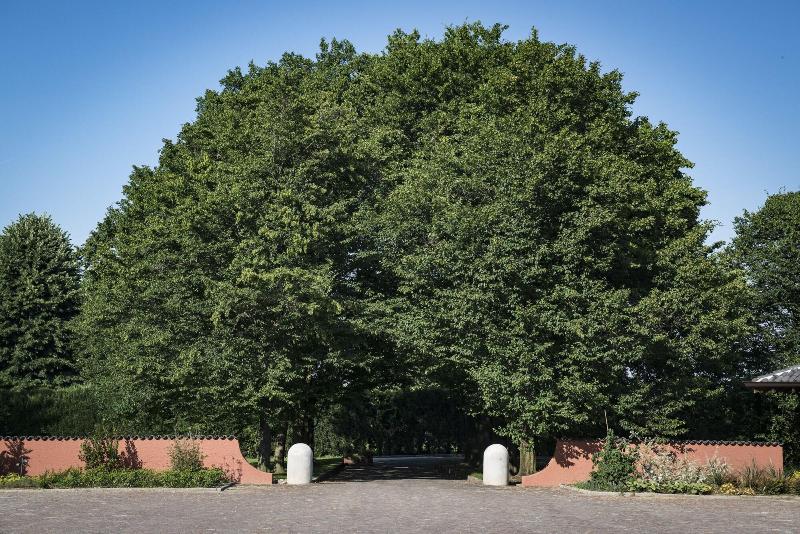 Agriturismo Tenuta  Il Cigno