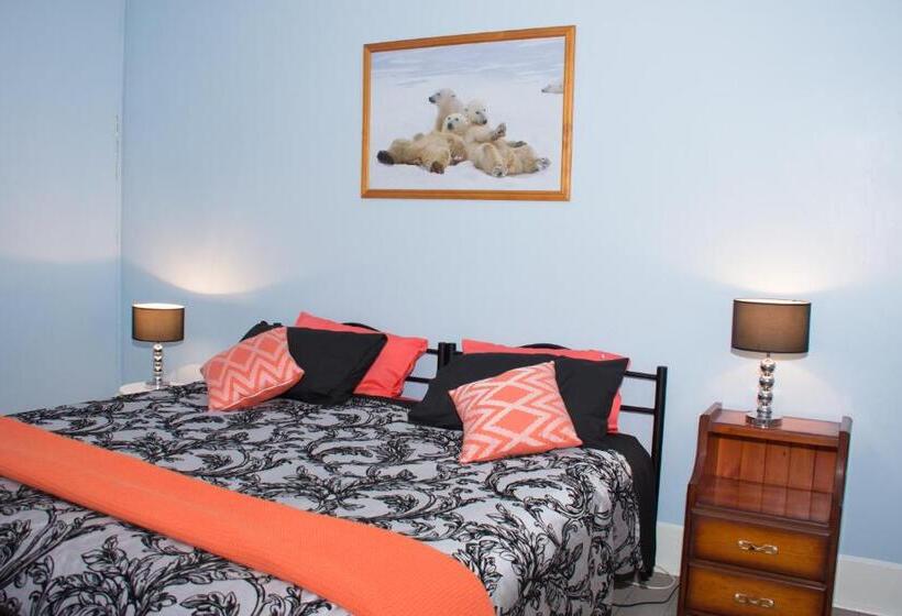 فندق صغير Kimba Travellers  Haven