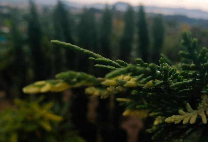 ユースホステル Vista Hermosa Eco Hostal