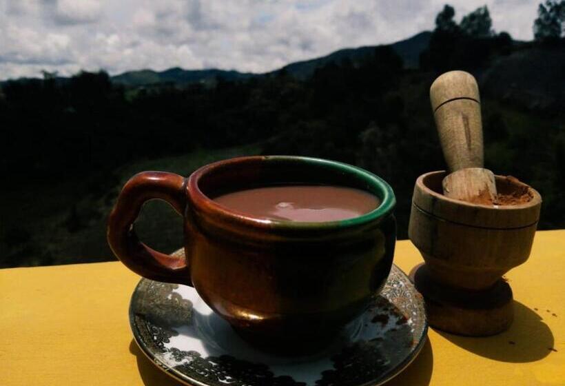 ユースホステル Vista Hermosa Eco Hostal