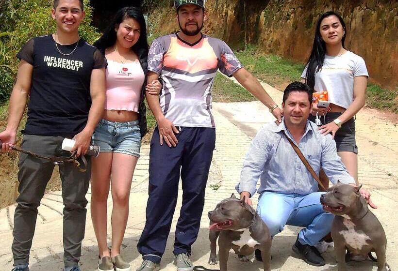 ユースホステル Vista Hermosa Eco Hostal