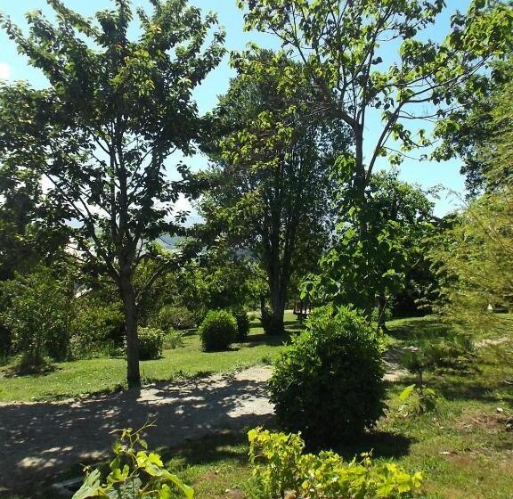 Apart Hotel Puchaley Lafquen