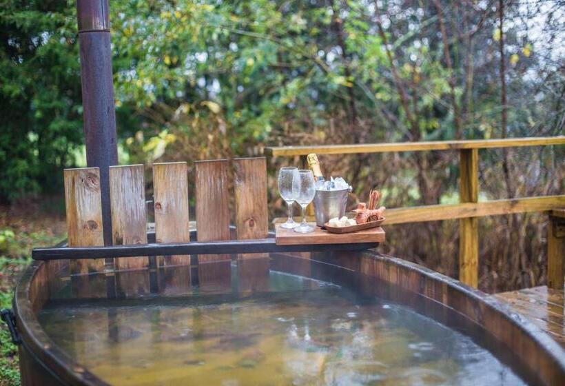 Apart Hotel Puchaley Lafquen