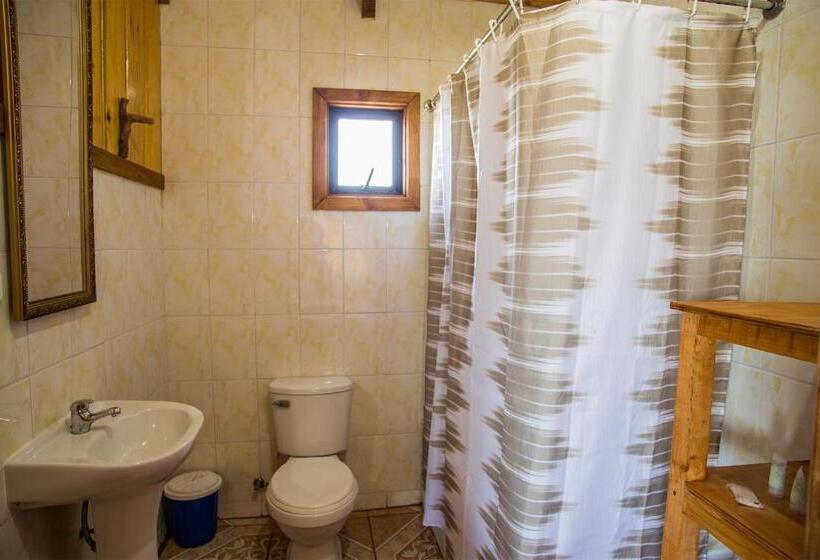 Apart Hotel Puchaley Lafquen