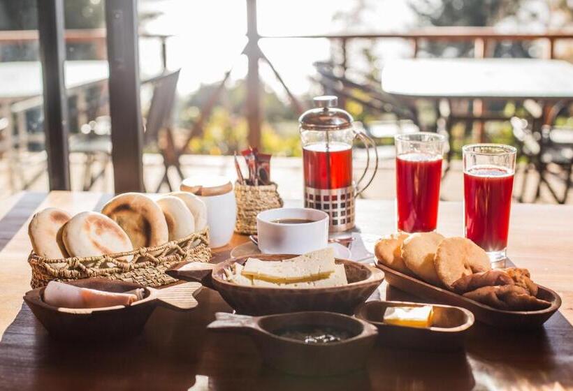 Apart Hotel Puchaley Lafquen