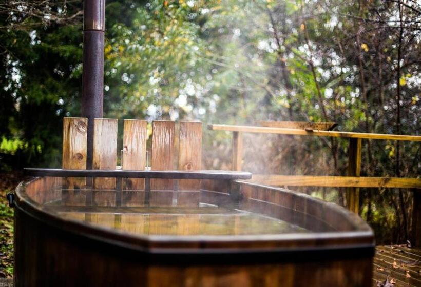 Apart Hotel Puchaley Lafquen