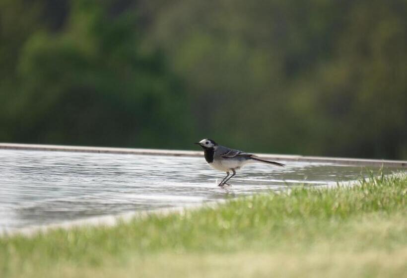 B&b La Mirande De Saint Clar