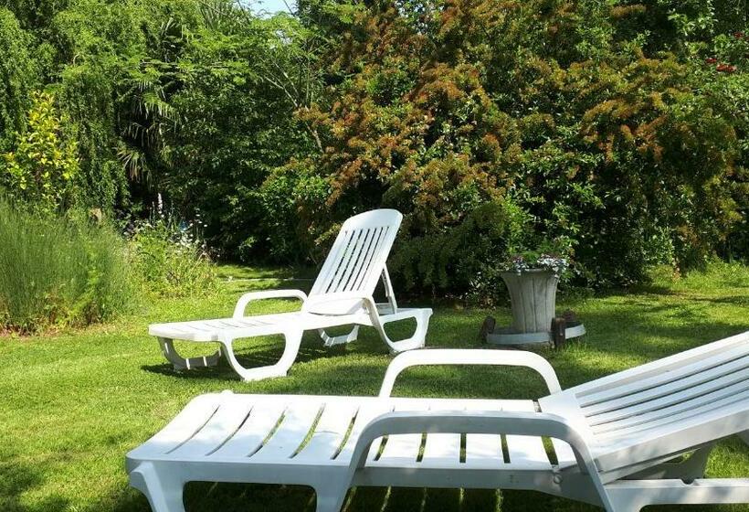 Bed and Breakfast Asinus 32