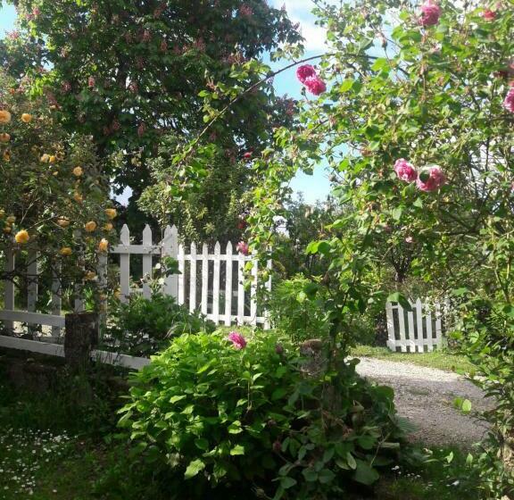 Bed and Breakfast Asinus 32