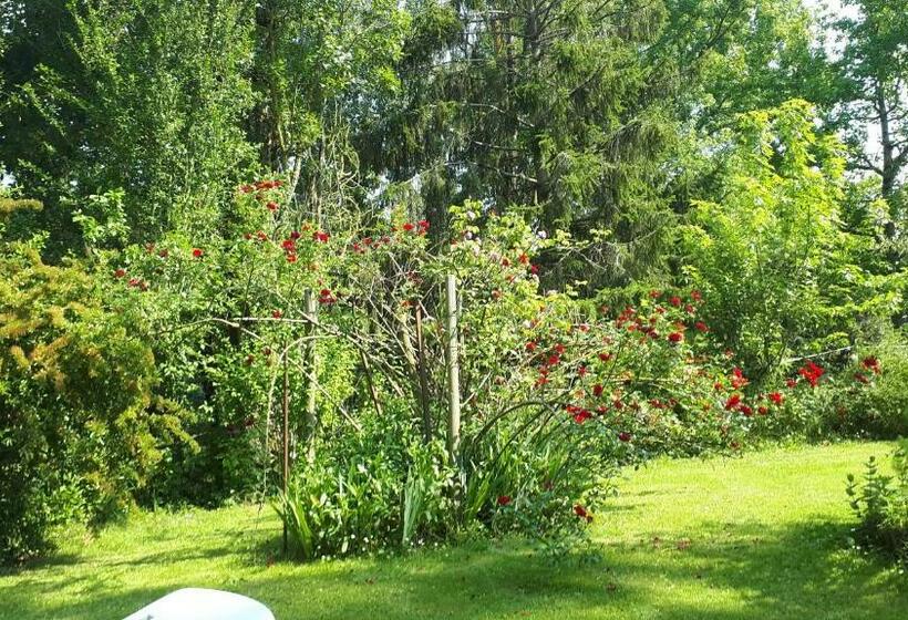 Bed and Breakfast Asinus 32