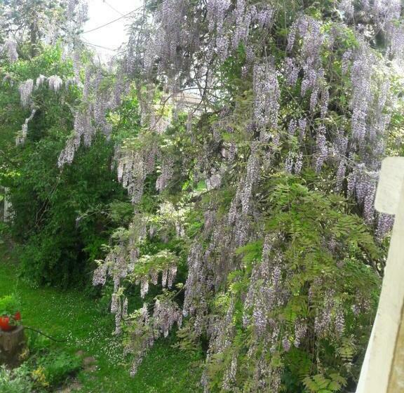 Bed and Breakfast Asinus 32