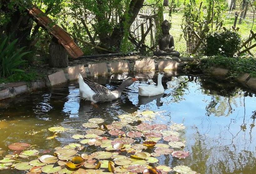 Bed and Breakfast Asinus 32