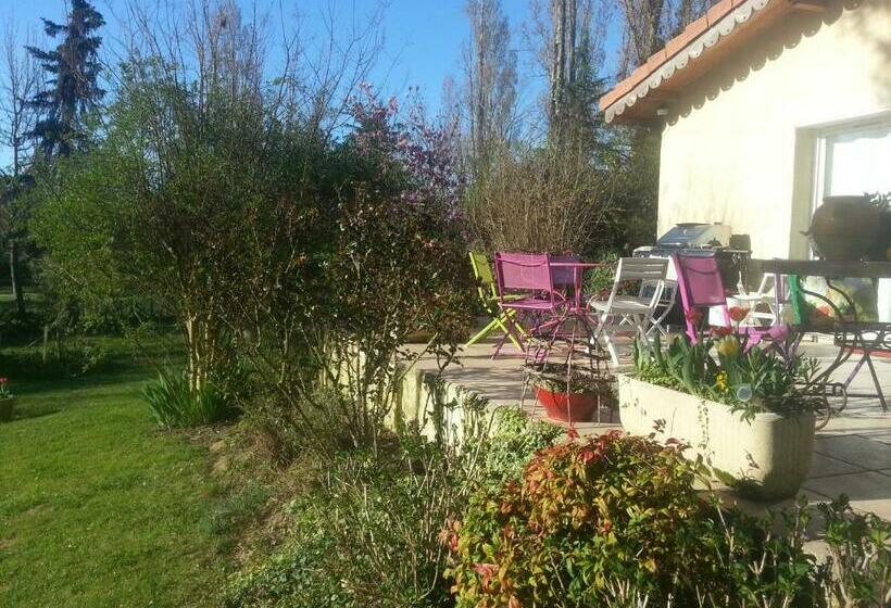 Bed and Breakfast Asinus 32