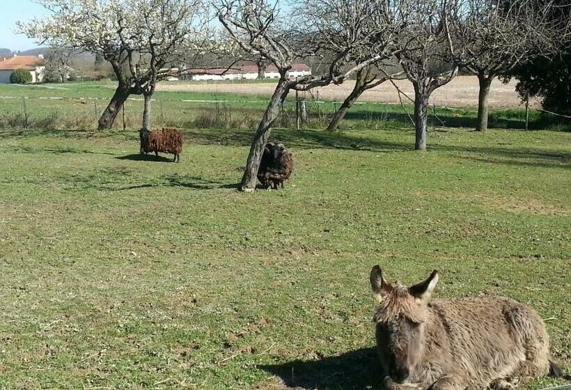 Bed and Breakfast Asinus 32