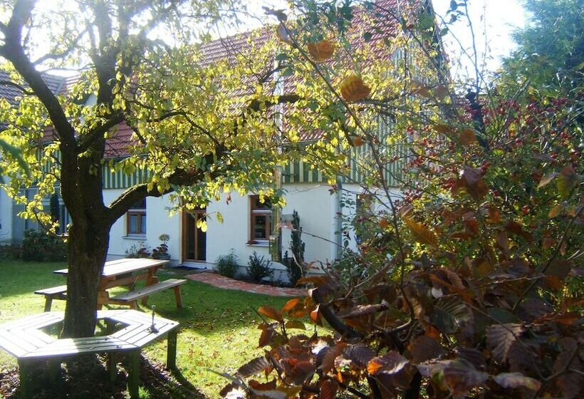 住宿加早餐 Biopension Kirschenfee