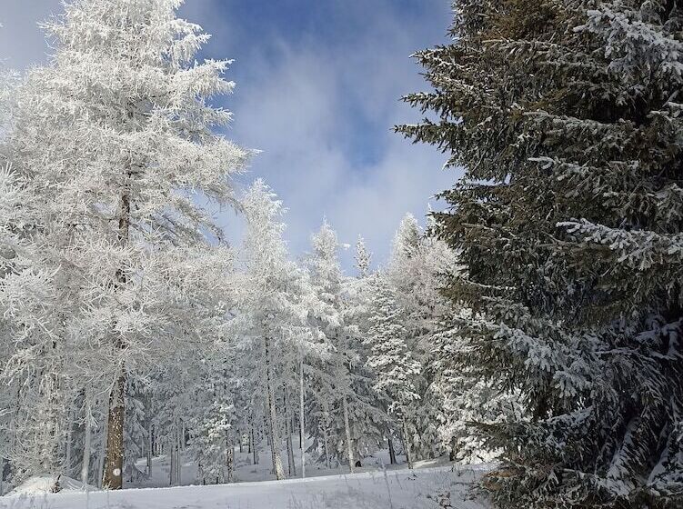 مبيت وإفطار Chambres D'hotes Ecogite Du Mas De Trape