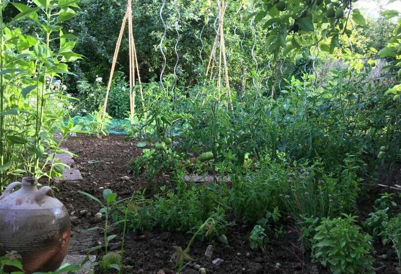 צימר Chambres D'hôtes Des Demoiselles