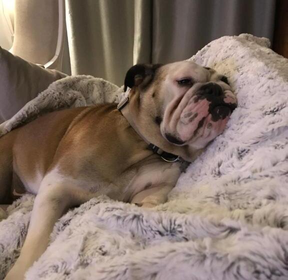 צימר Chambres D'hôtes Des Demoiselles