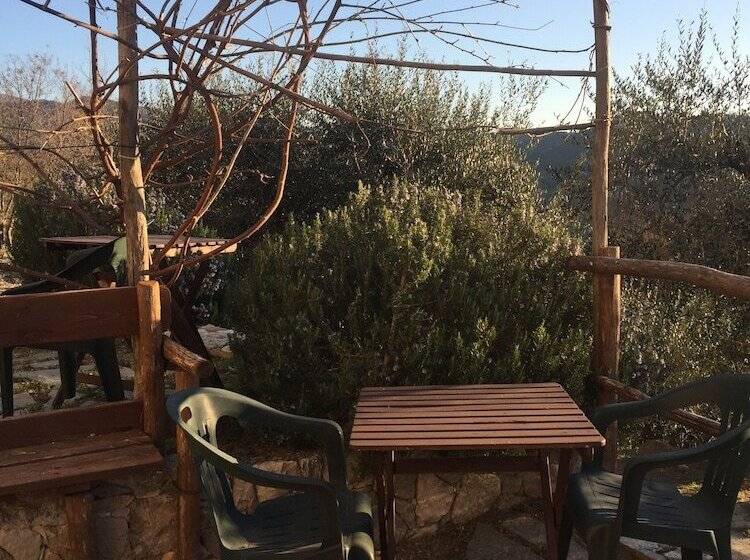 צימר Joie De Vivre