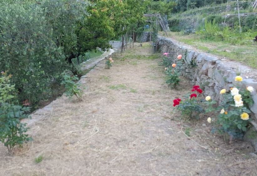 צימר Joie De Vivre