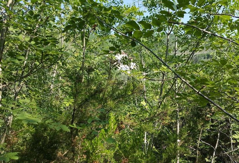 צימר Joie De Vivre