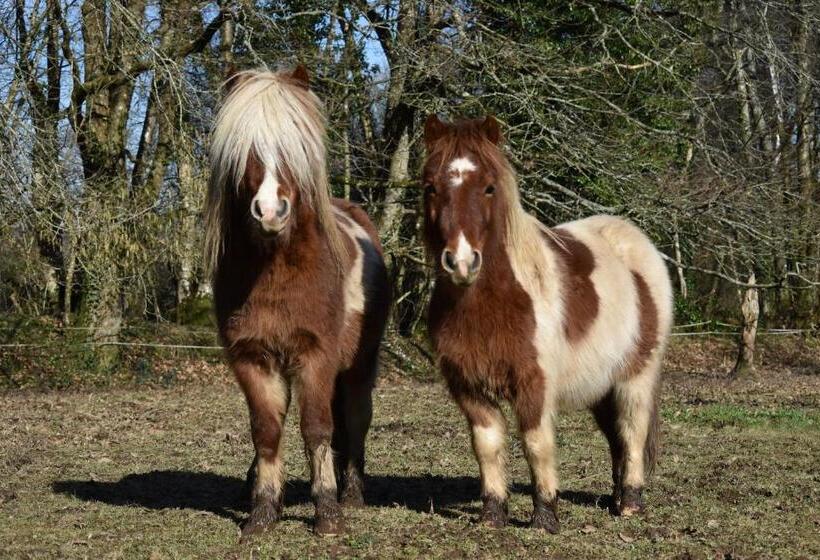 住宿加早餐  L écrin De Pradou Glas