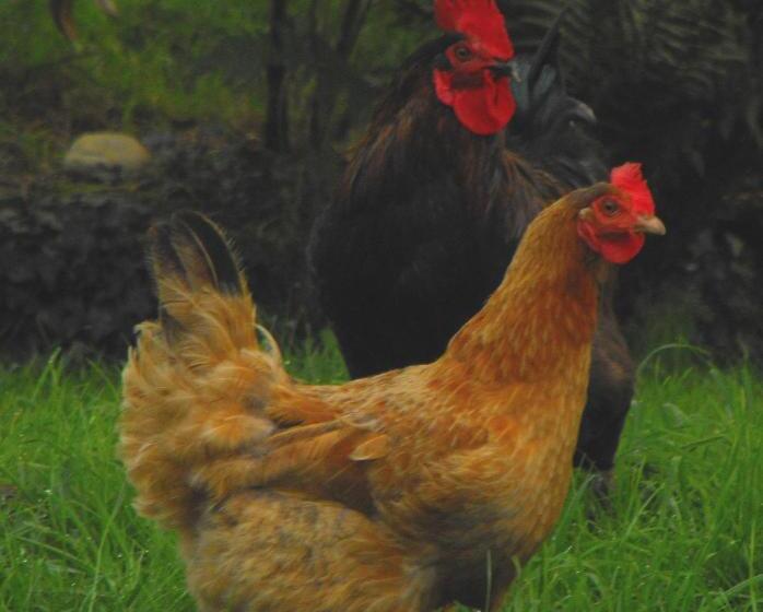 민박 L écrin De Pradou Glas