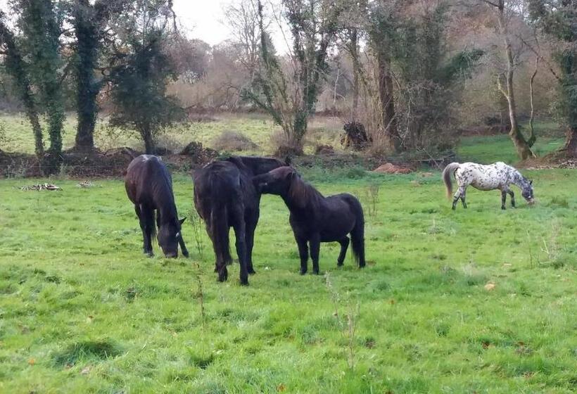 住宿加早餐  L écrin De Pradou Glas