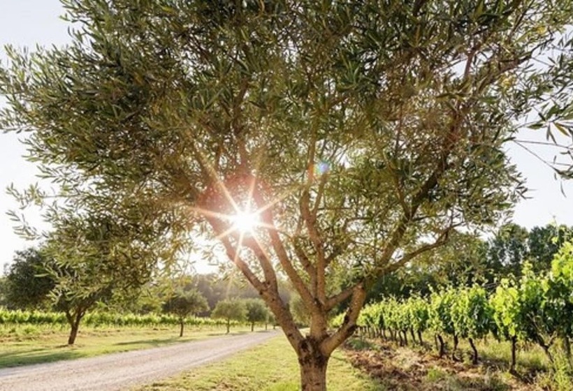 ベッドアンドブレックファースト La Bastide De Fangouse