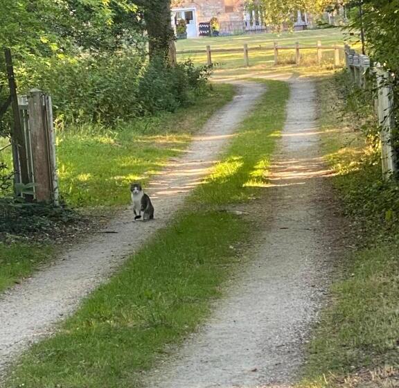 ベッドアンドブレックファースト Le Moulin Bleu