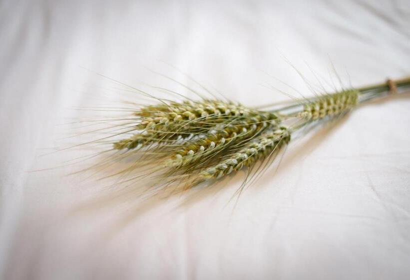 مبيت وإفطار Le Moulin Bleu