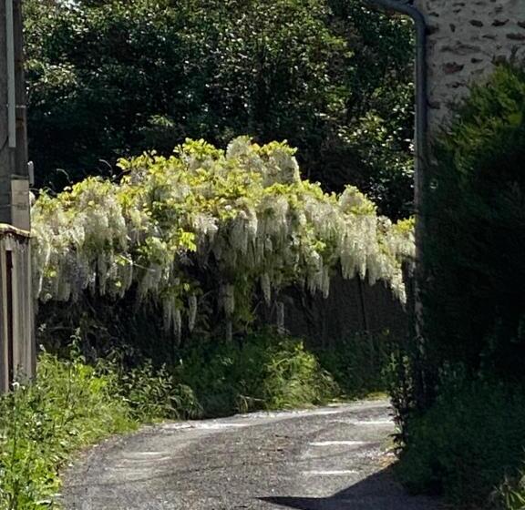 ベッドアンドブレックファースト Le Moulin Bleu