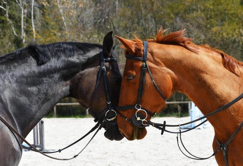 مبيت وإفطار Le Moulin Bleu