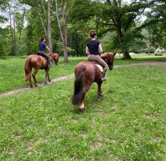 مبيت وإفطار Le Moulin Bleu