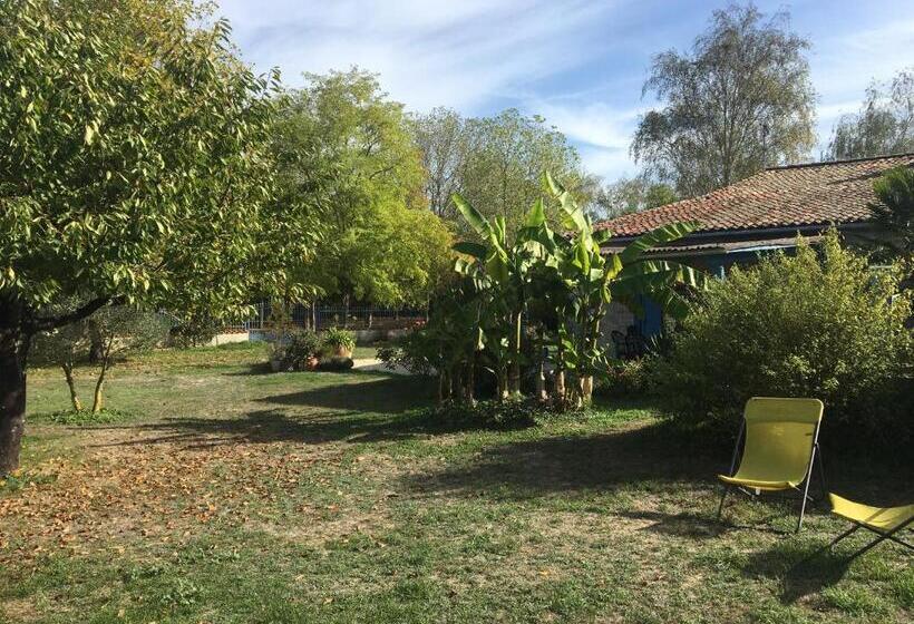 Bed and Breakfast Maison D Hôtes La Chabanaise   Marais Poitevin