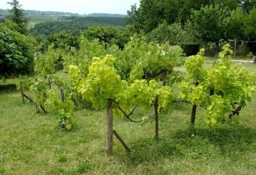 Bed and Breakfast Maison Linda