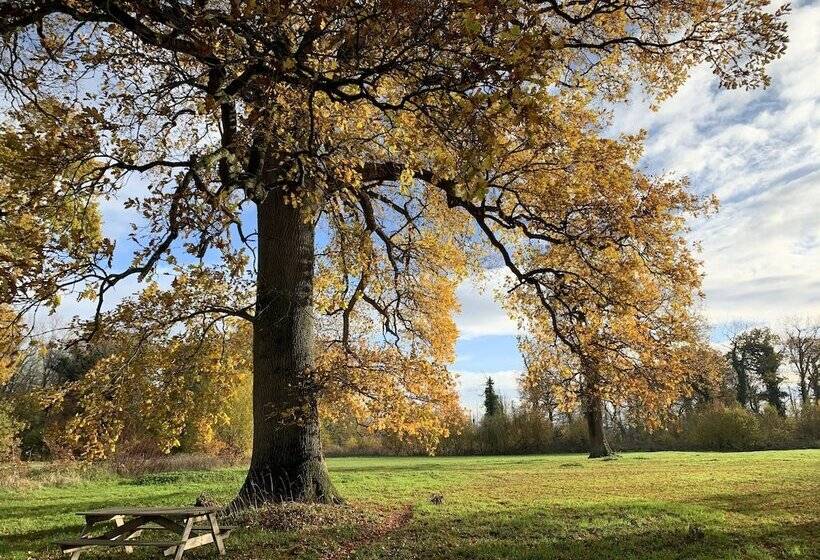 مبيت وإفطار Manoir De Bois En Ardres