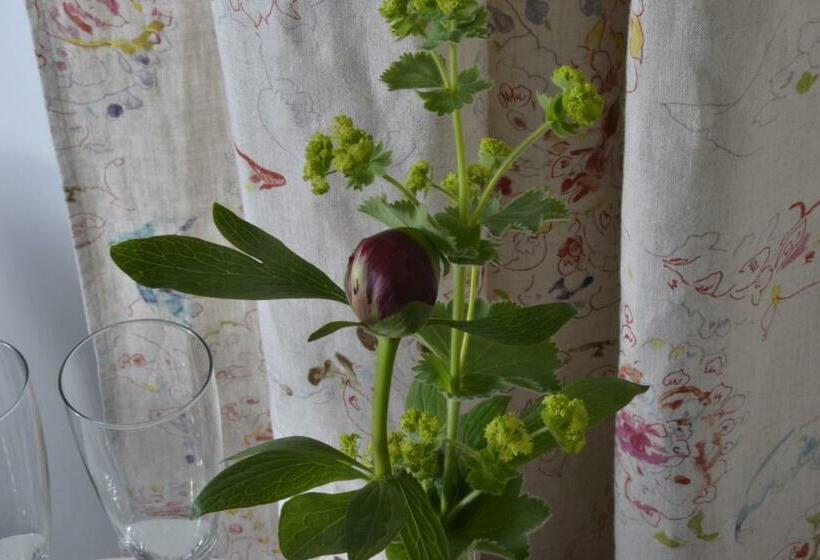 민박 Romantisches Bed&breakfast Apfelstern