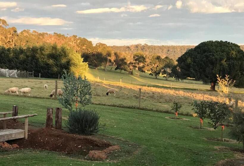 مبيت وإفطار The Grange On Kalgan Farm Stay Albany