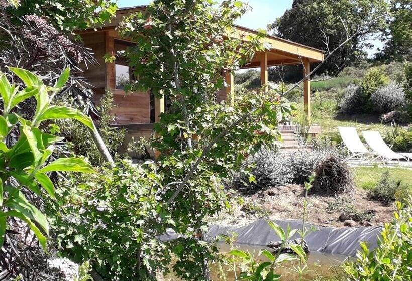 Cabanes Trésors De Campagne,spas Privatifs