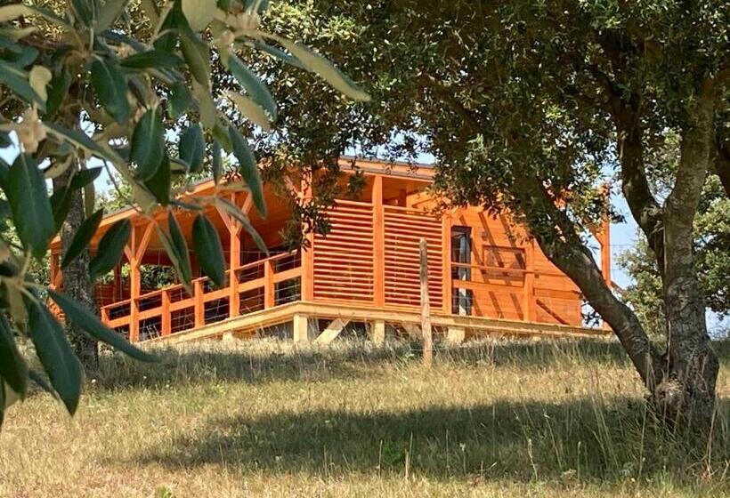 Cabanes Trésors De Campagne,spas Privatifs