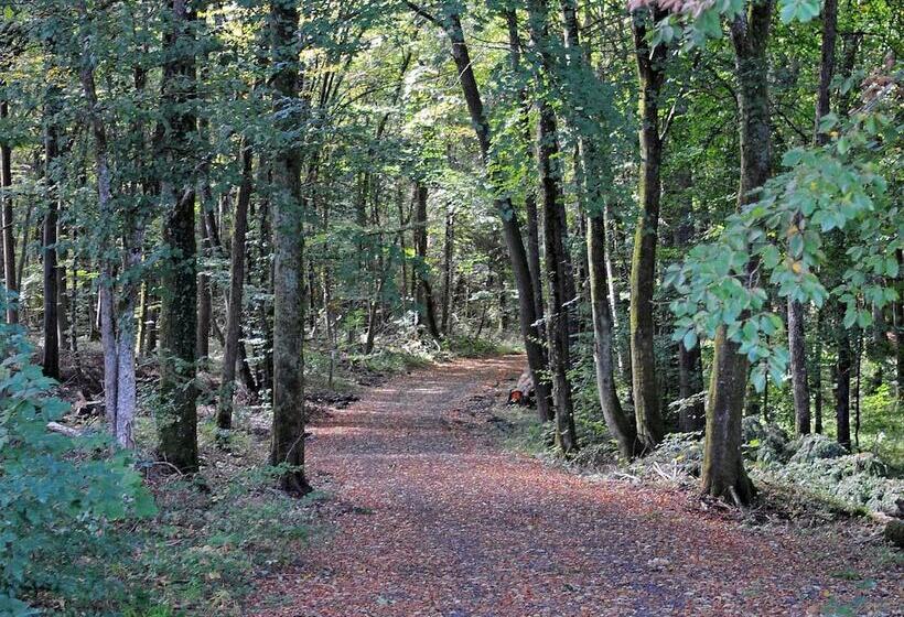 Chalet In Gerolstein With Forest