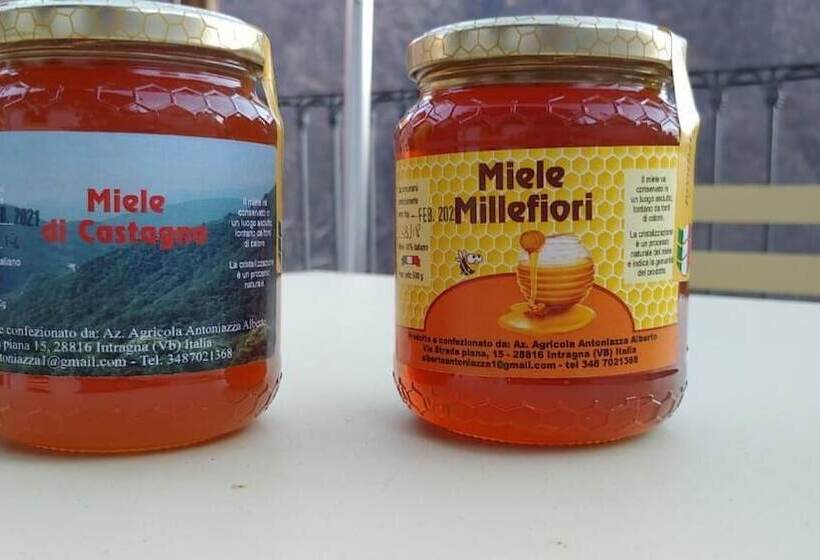 פונדק Ostello Val Grande