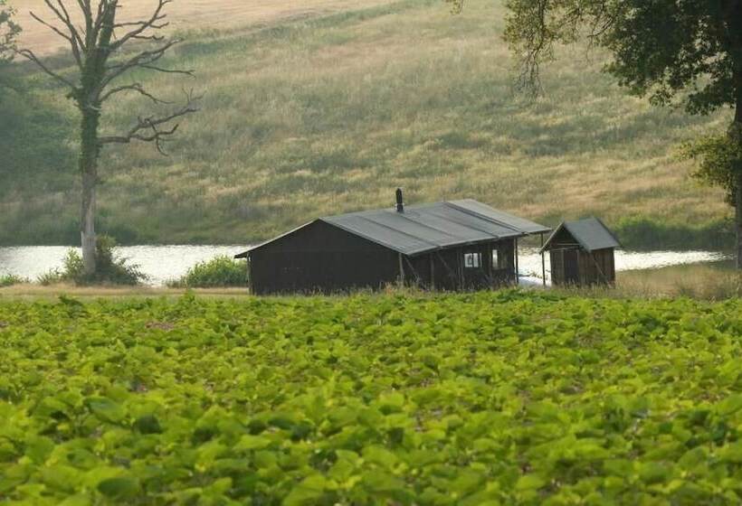 فندق Domaine Bonneblond   Tentes Glamping