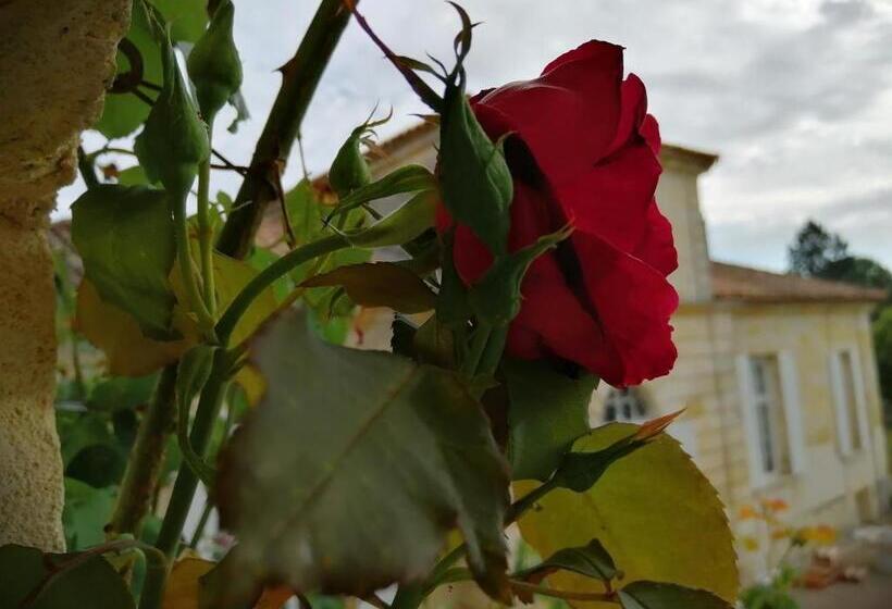 호텔 Domaine Du Chauvet