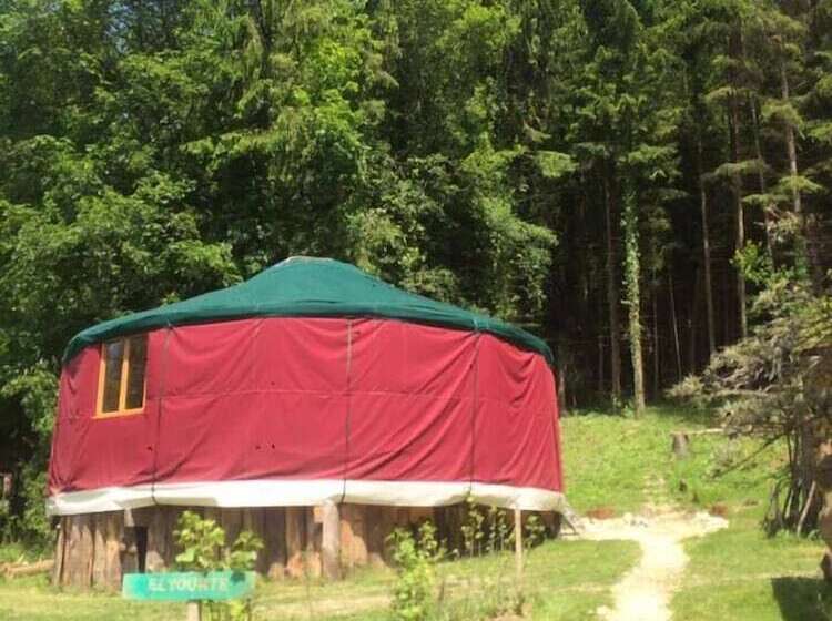 ホテル Foxy Camp Insolite